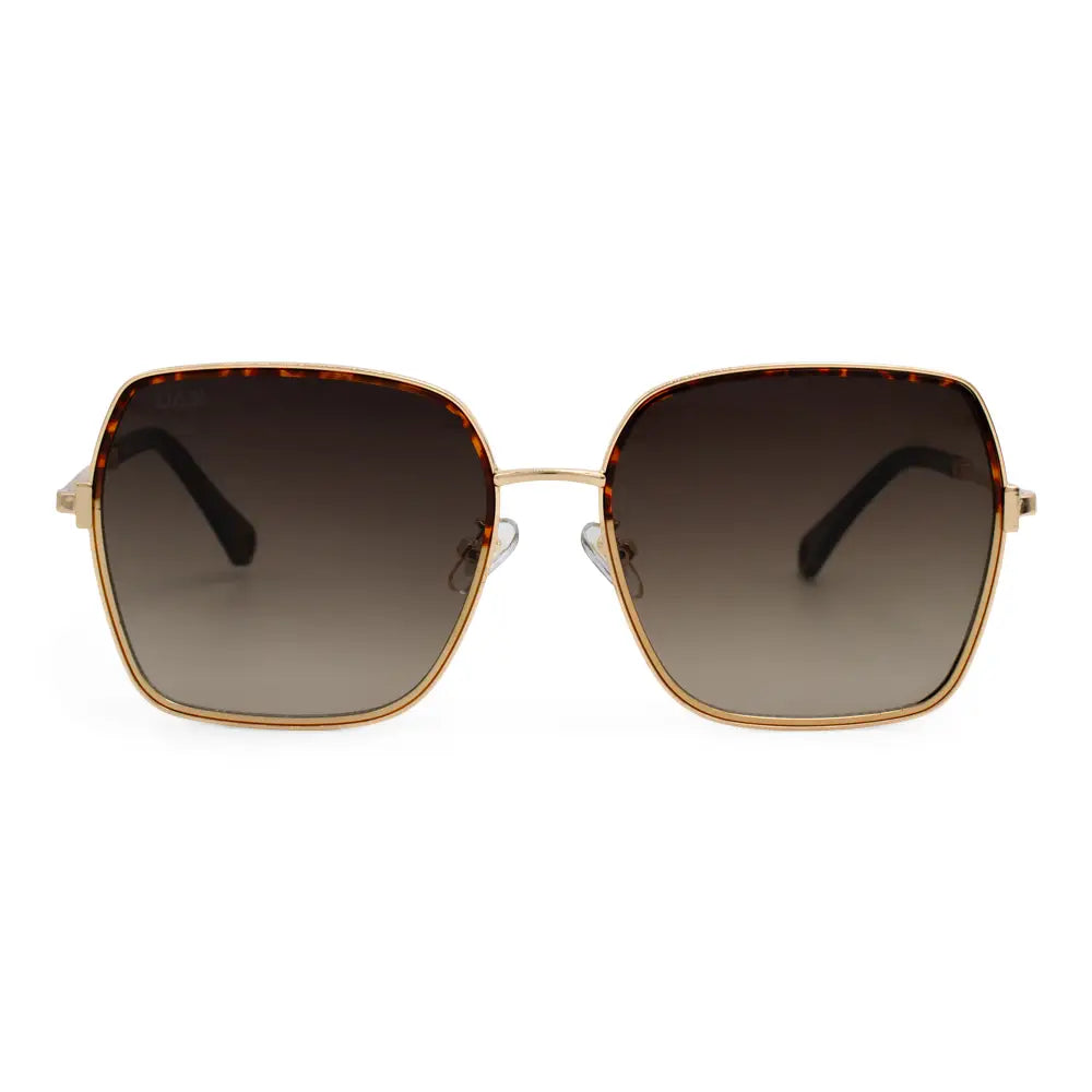 Aspen | Brown | Dax Eyewear - Torque Fashion
