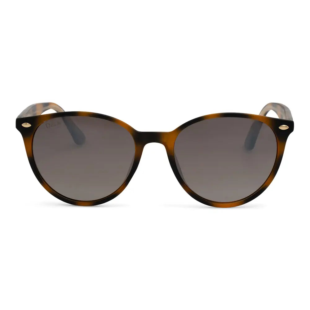 Asher | Shell | Dax Eyewear - Torque Fashion