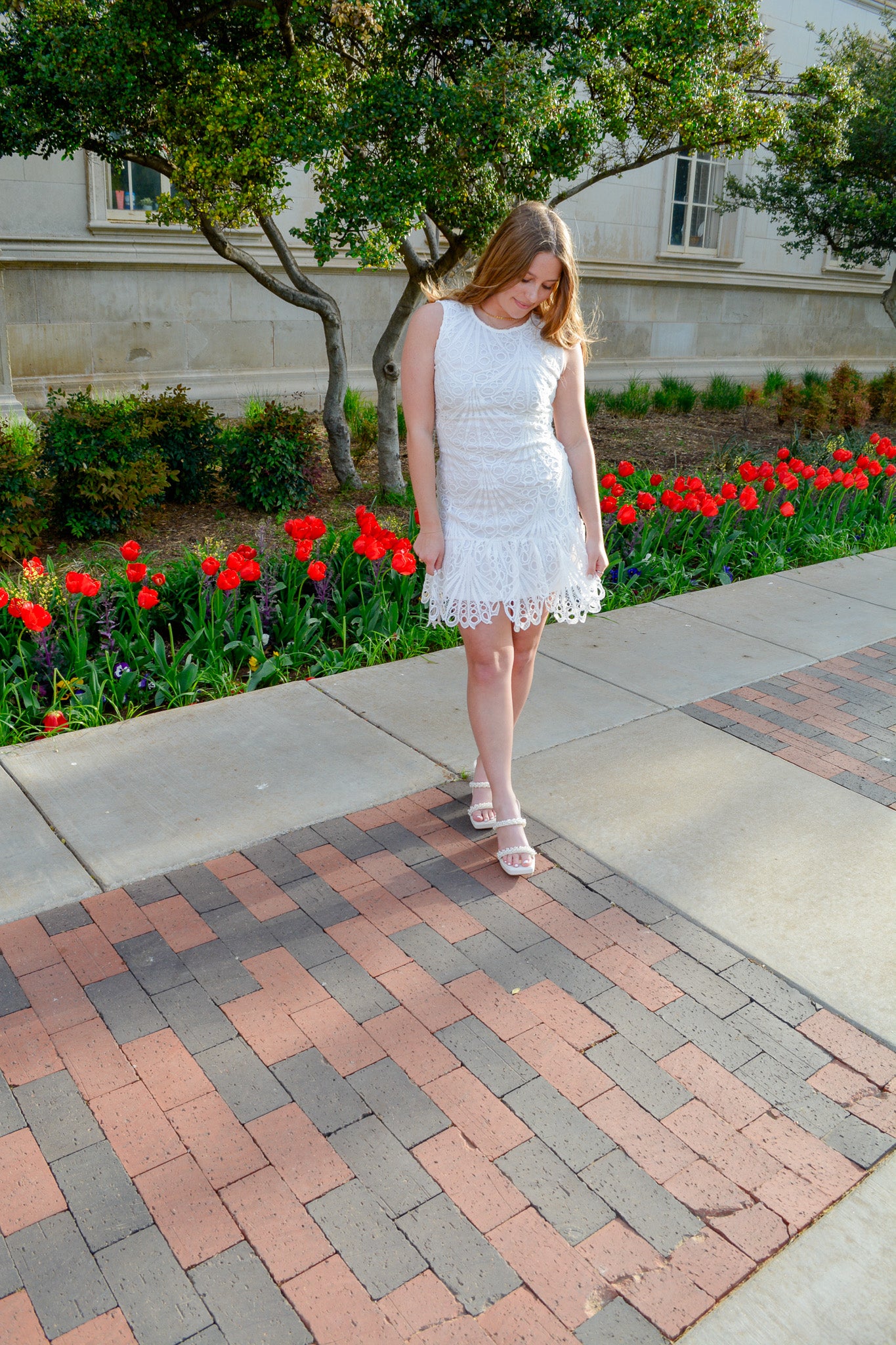 Loved in Lace Dress