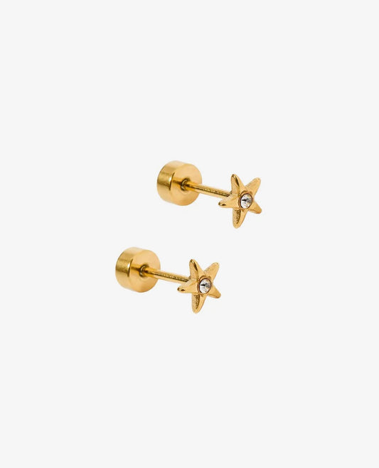 Linny CO Scout Star screwback earrings featuring star-shaped design in silver metal on a plain background