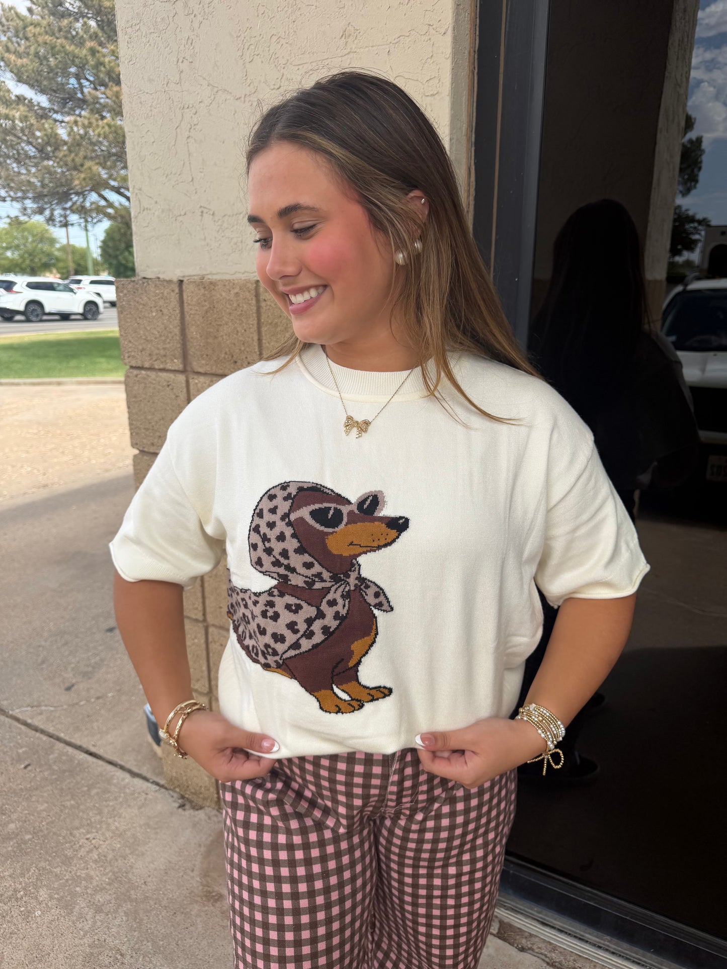Dachsund Chic Sweater Top
